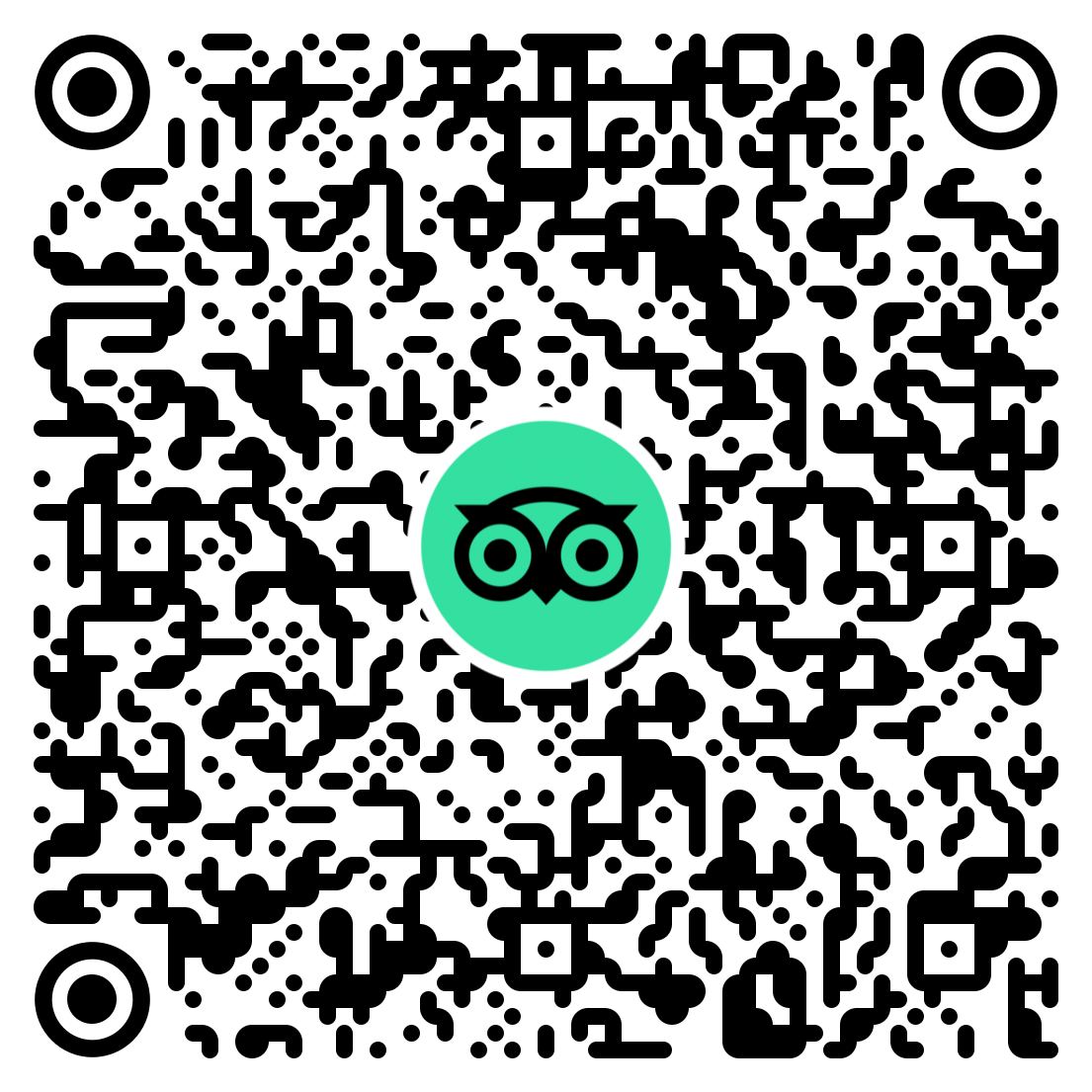 TouriTravels Tripadvisor